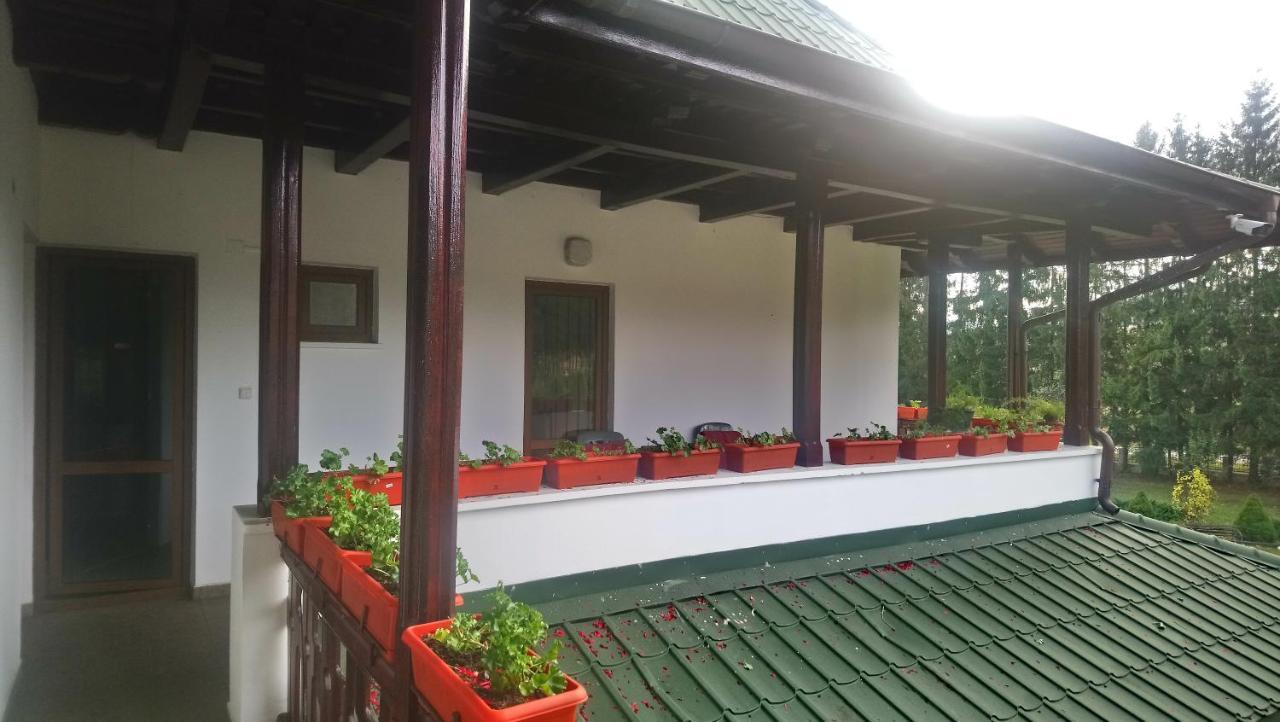 Minastirea Neamt Casa "Ierusalim-Hozeva-Hozeva" 게스트하우스 외부 사진